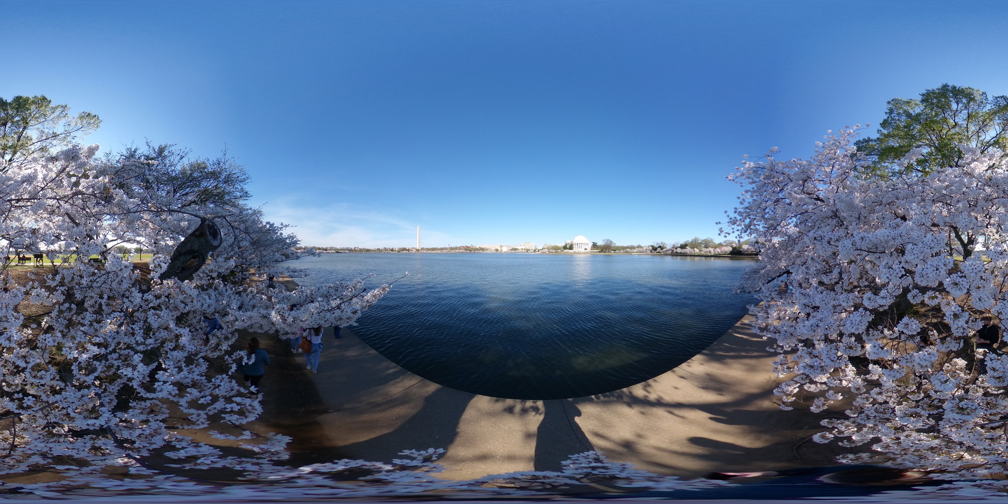 A spherical photo of a park area that includes people walking on a path next to a large tidal basin also lined with cherry blossom trees in full bloom. The Washington Monument and Thomas Jefferson Memorial are in the distance across the tidal basin.  