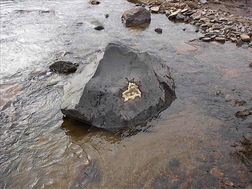 Yukon-Charley Rivers Scenic, 2003 2