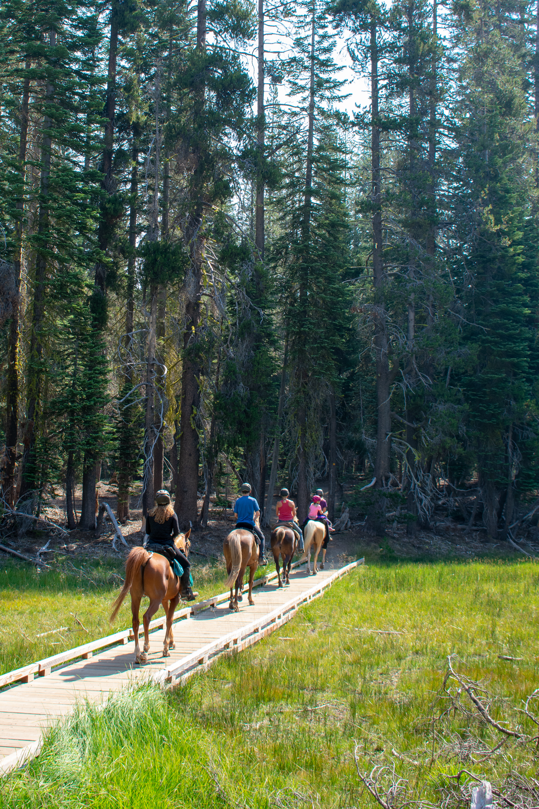 A group of five riders and four horses cross a wooden boardwalk across a green meadow at the Summit Lake Trailhead.