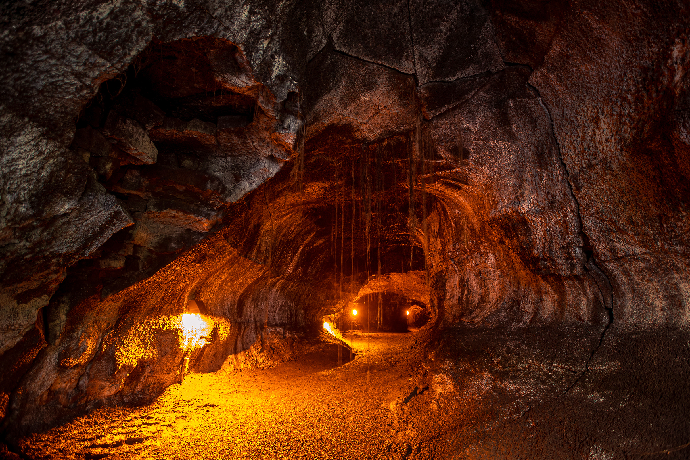 A dimly lit lava tube with aerial roots hanging from the ceiling. 