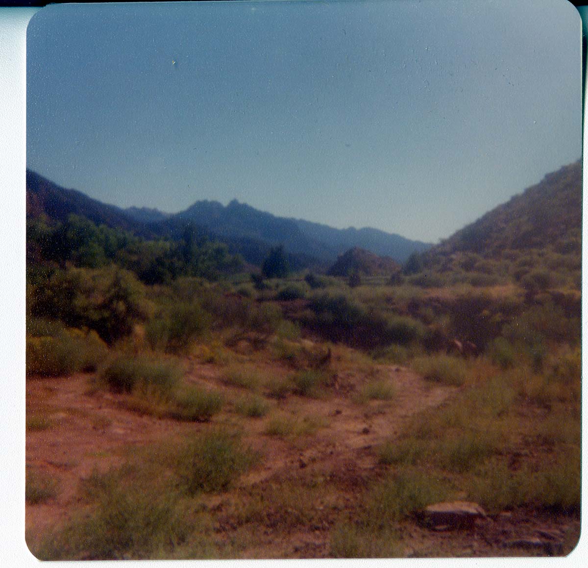 The Springdale water pipeline during construction.