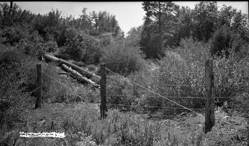 Park boundary fence on the East Rim.
