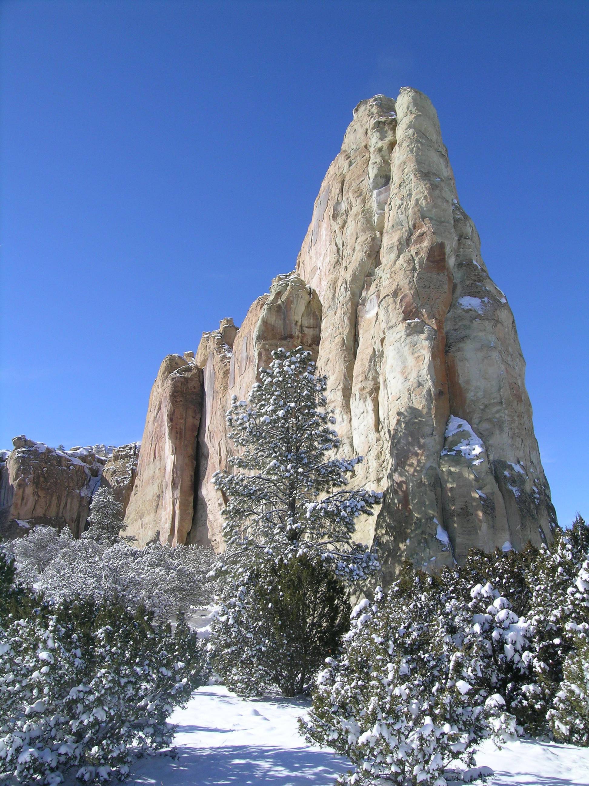 A tall sand stone cliff rises into the bluse sky, snow sits on trees and in rock crevises, and covers the ground