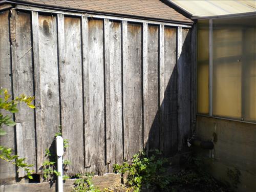 Pre-construction conditions of Aquatic Gardens Historic Greenhouses 1, 2, and 3 in October 2010