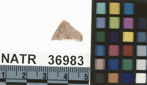 NATR   36983 -- Untyped projectile point