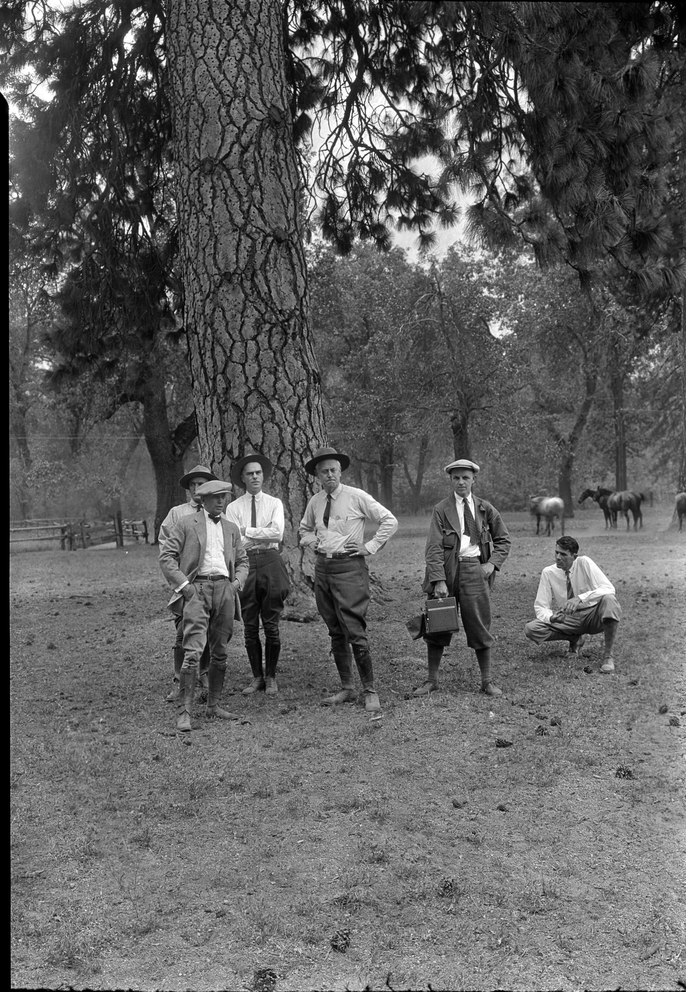 L-R: 1. Road Eng. Austin 2. G.S. Underwood 3. Supt. Lewis 4. Stephen Mather 5. Frank Taylor 6. Don Tresidder