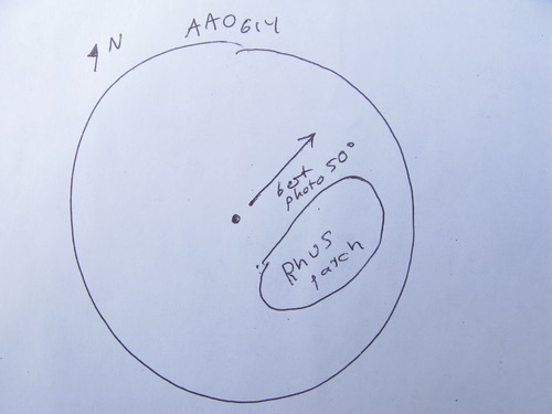 GRSM Accuracy Assessment. Plot Code: GRSM_AA_0614_7