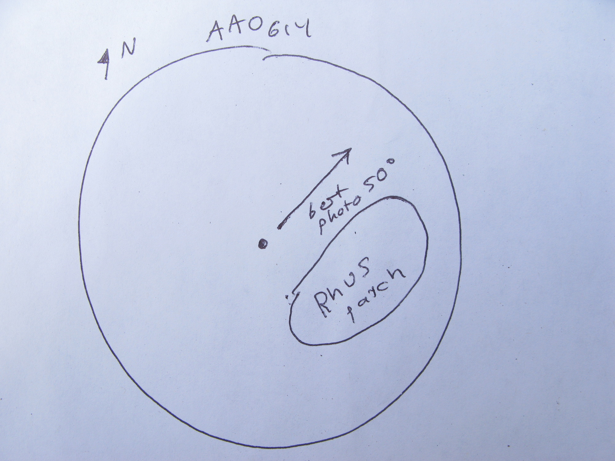 GRSM Accuracy Assessment. Plot Code: GRSM_AA_0614_7