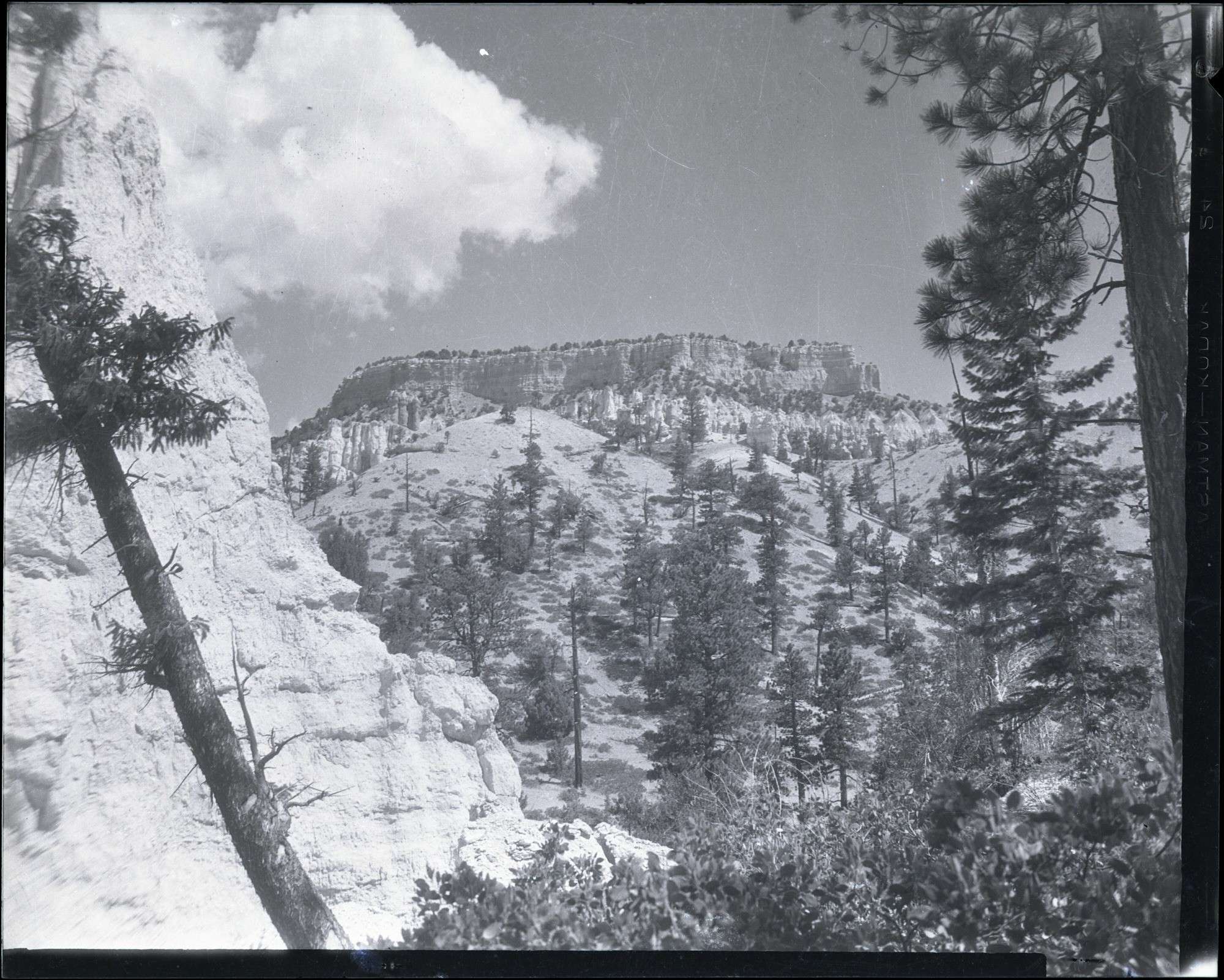 BRCA Museum and Archives Image