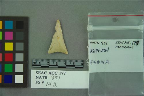 NATR  851 -- Late Woodland / Mississippi Triangular Cluster PP/K