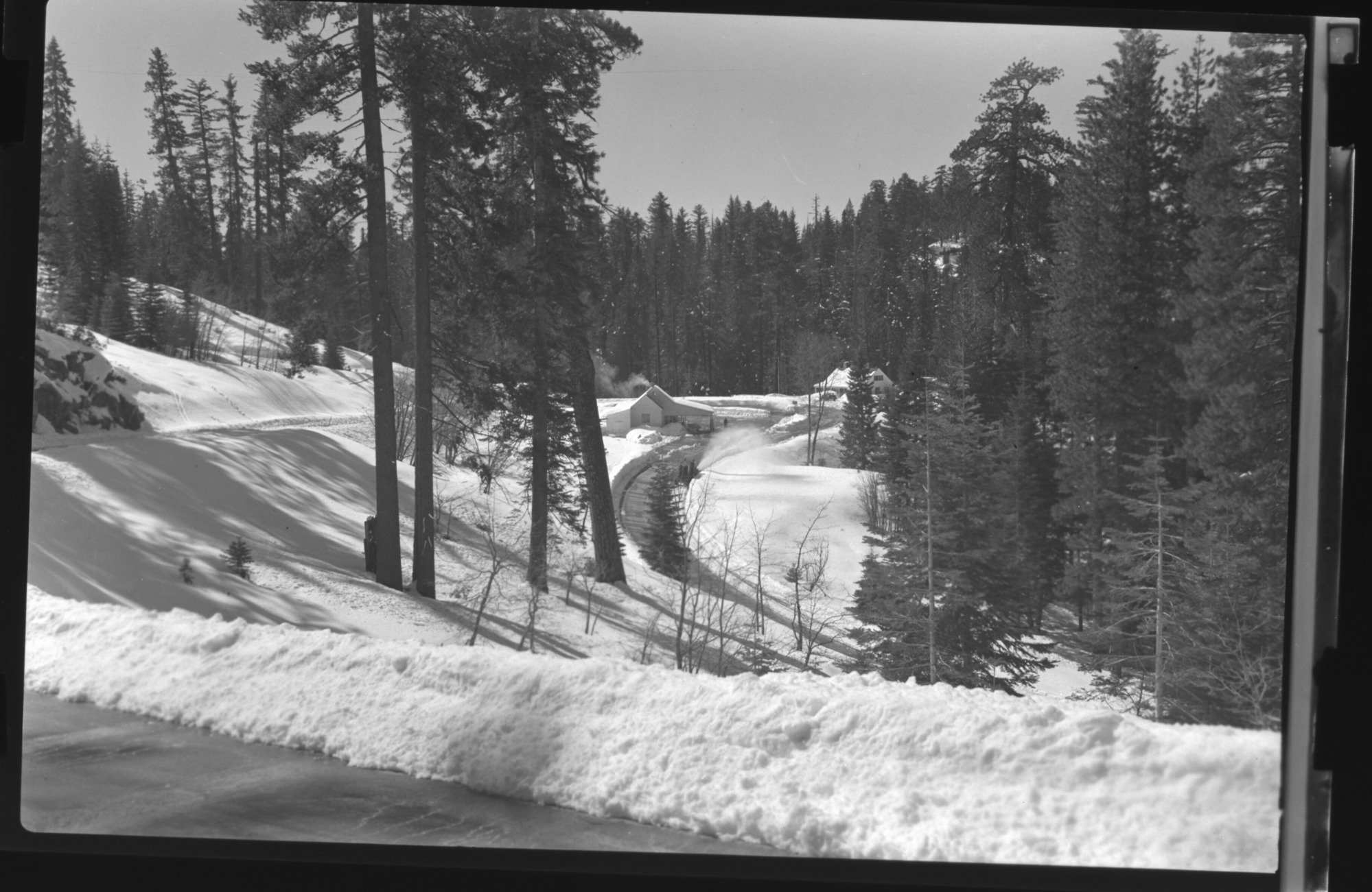 Chinquapin after snow-storm with Sno-go. Snow depths on Badger Pass Road.