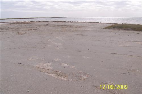 Murdock's Landing Campground