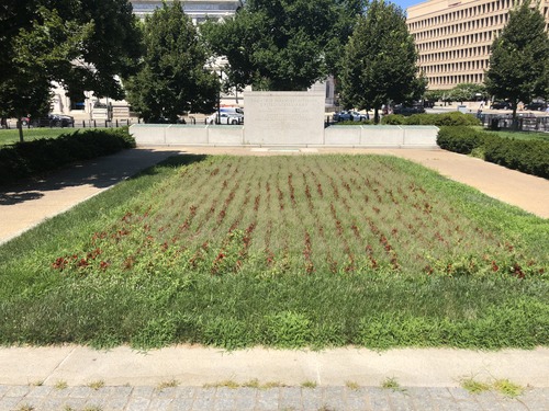 Flower bed