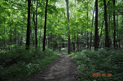 Echo River Springs Trail