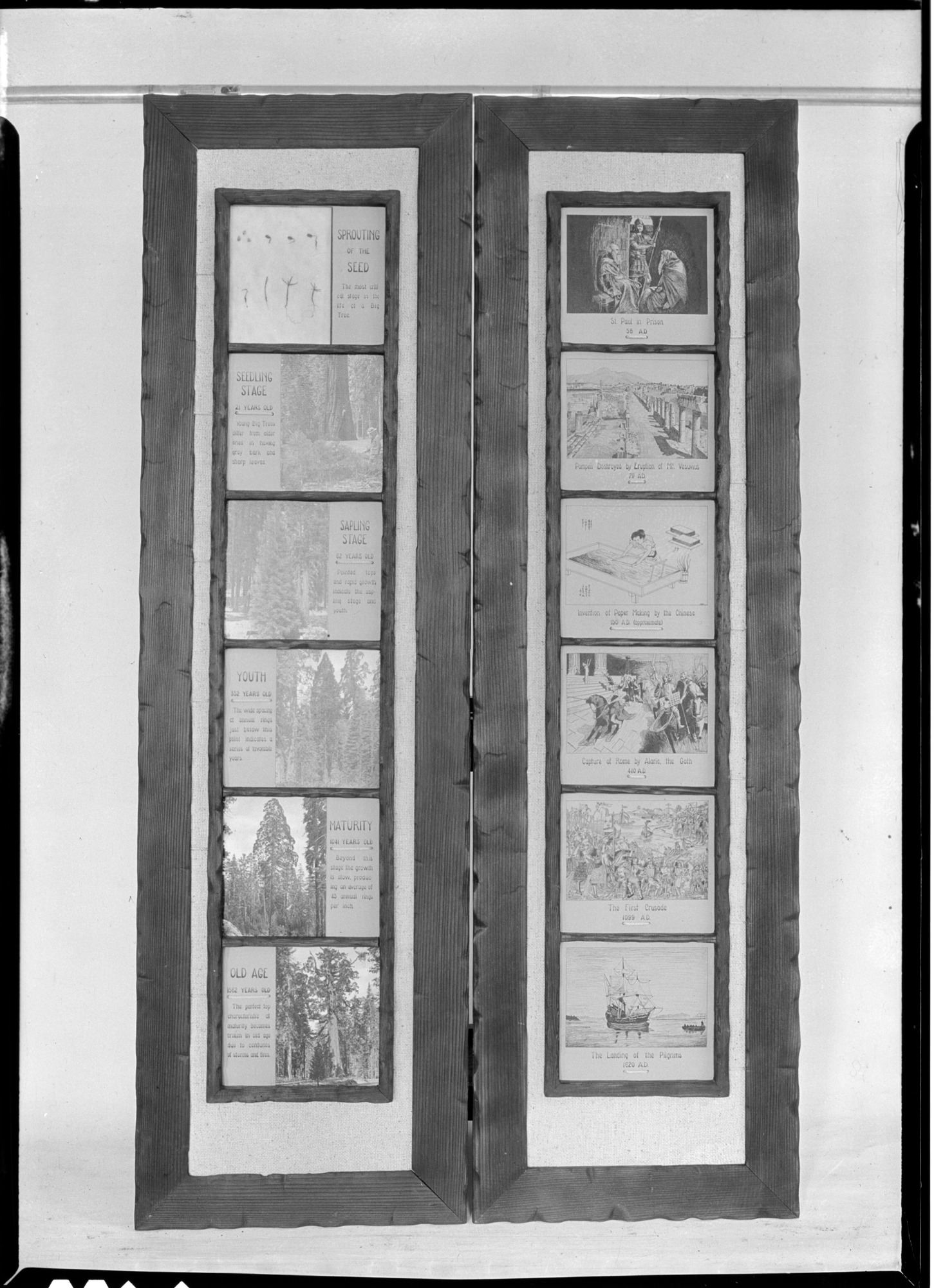 Exhibit in the Mariposa Grove Museum