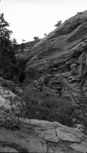 The Great White Throne and cross-bedded sandstone.
