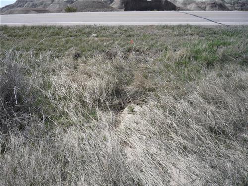 BADL Facility Management Collection: Loop Road (RT10) - FY10 Culverts and Drainage Ditches