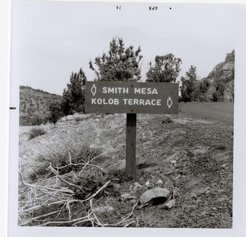 Road sign reading 'Smith Mesa' to the left and 'Kolob Terrace' to the right.