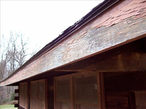 FODU-Fort Dupont Park Activity Center, January 5, 2009