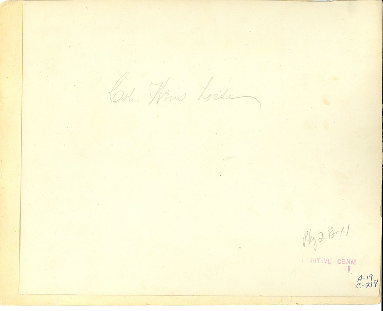 Captain Thomas Benton Weir's Horse