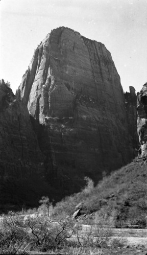 The Great White Throne and cross-bedded sandstone.