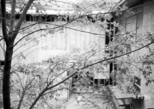 Building through some foliage during the construction of headquarters addition.