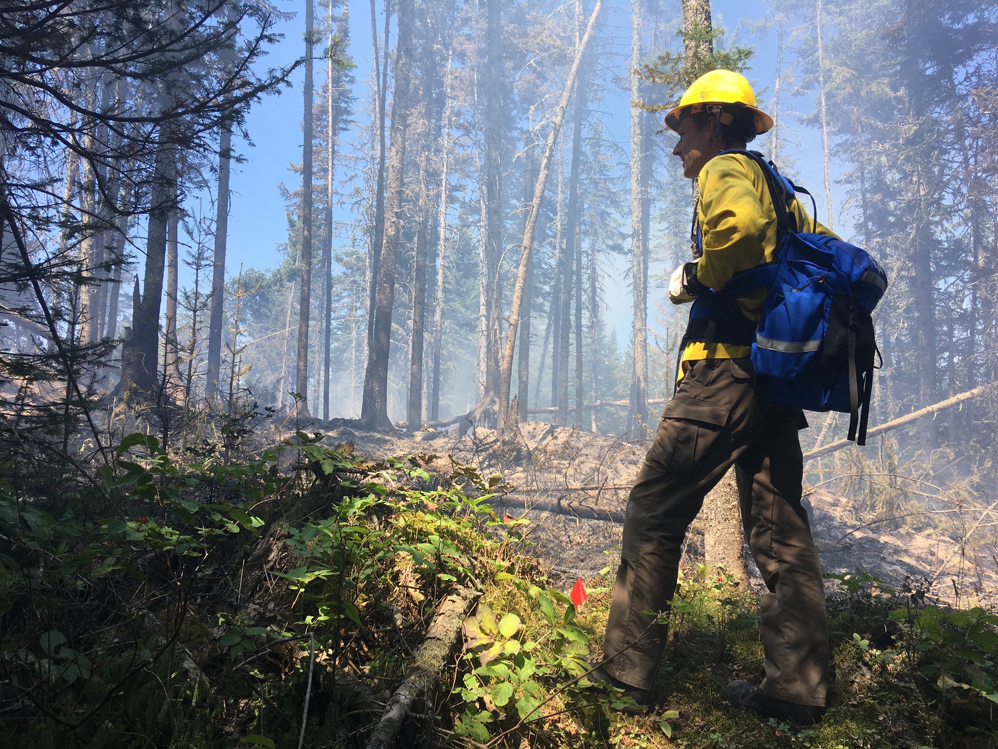 A wildland firefighter wearing a yellow hardhat, yellow shirt and blue fire pack, walks in a forest as smoke billows through the trees.