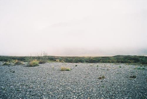 2 Gates of the Arctic National Park and Preserve Itkillik Birds June 2006