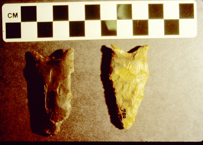 Allen point and Dalton point