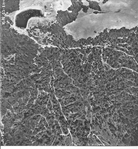 Point Reyes National Seashore Aerial Survey, 1963 Part 3 of 4