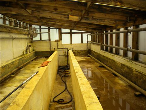 Pre-construction conditions of Aquatic Gardens Historic Greenhouses 1, 2, and 3 in October 2010