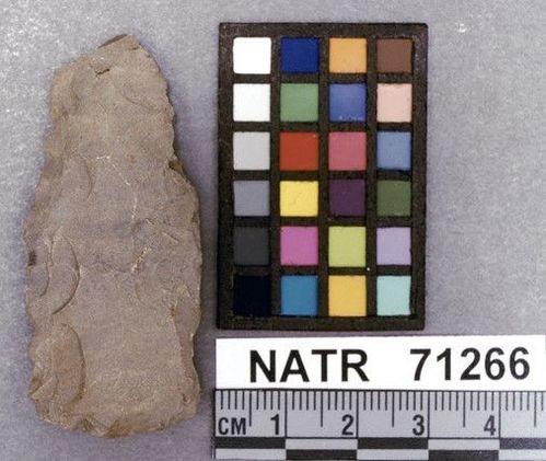 NATR   71266 -- Copena Cluster projectile point