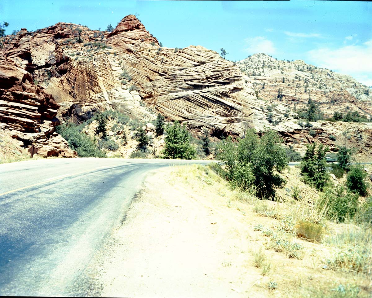 Color Photos of Zion Canyon - 4x5.