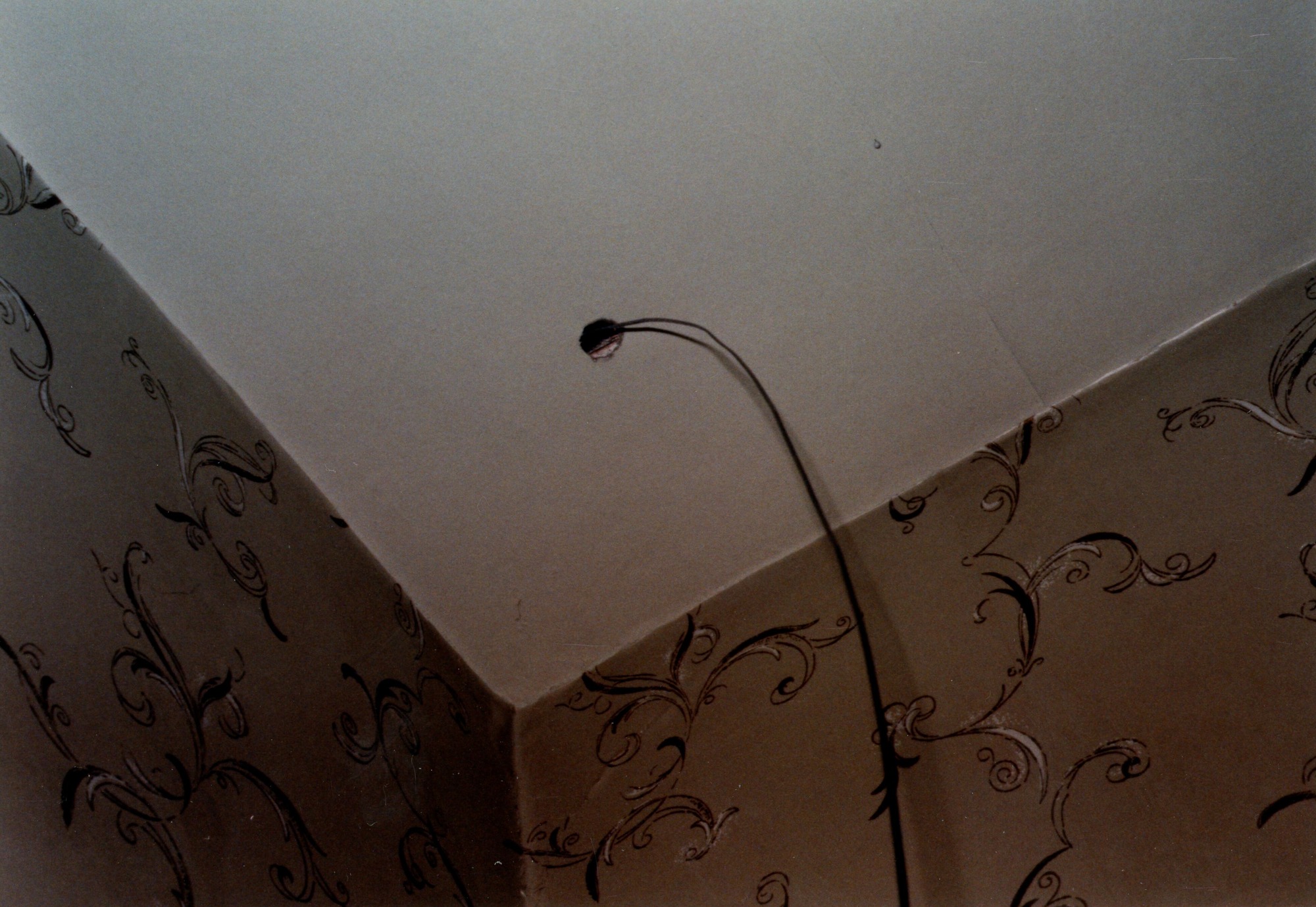 Hole in music room ceiling fo smoke detector