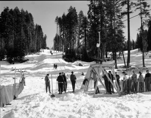 Winter Use at Badger Pass.