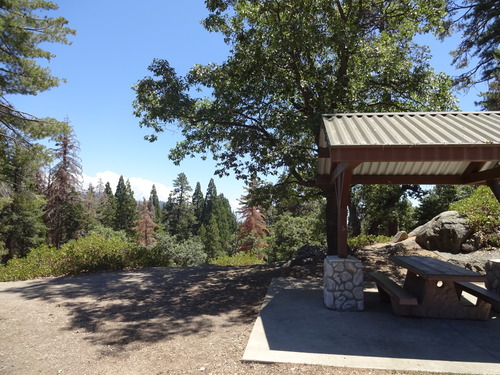 Flat with views of pines, adjacent to an small picnic area.
