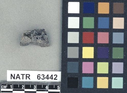 NATR   63442 -- Untyped projectile point