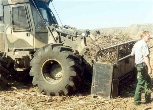 Salt Cedar Eradication Program Succeeding at Lake Meredith National Recreation Area, Texas