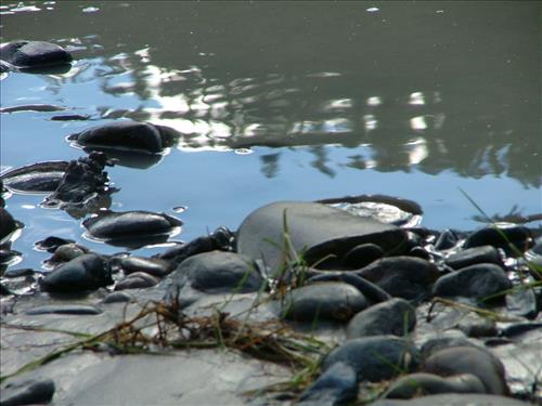 21 Yukon-Charley Rivers National Preserve Peregrine Falcon Survey July 2006
