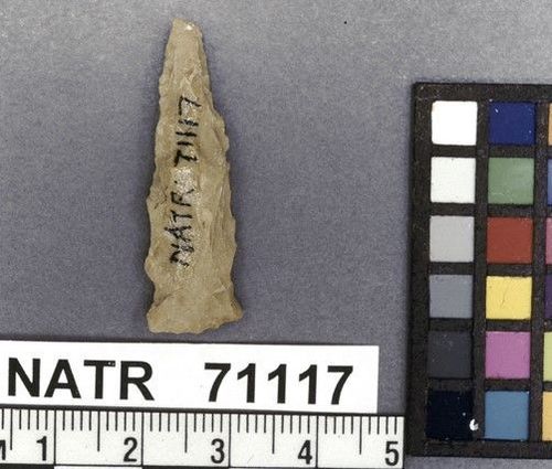 NATR   71117 -- Late Woodland / Miss Triangular Cluster projectile point