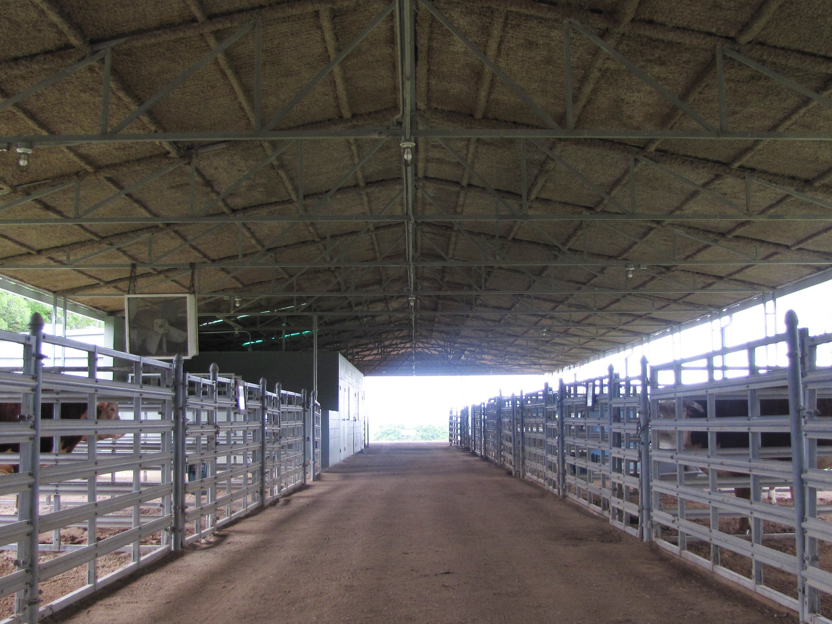 Under a roof with metal rafters, numerous metal pens line either side of a central dirt walkway