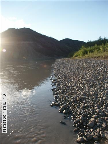 1 Yukon-Charley Rivers National Park and Preserve Peregrine Falcon Survey 2006