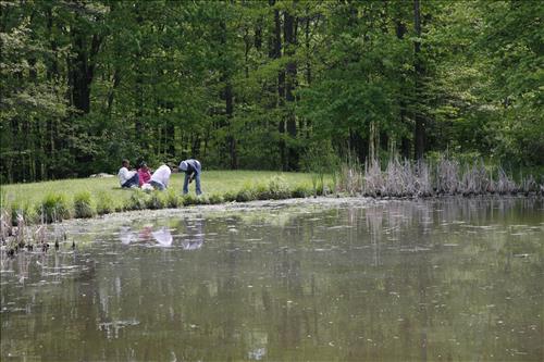 CVEEC Girl Scouts pond exploration 2