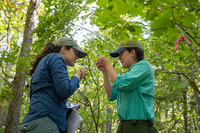 Two biologists look at each other and closely examine a plant