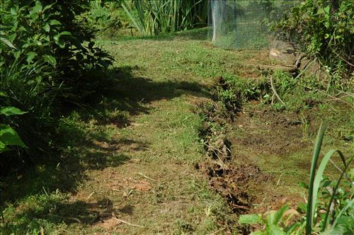 Youth Intern Program Horticultural Interns at Kenilworth Aquatic Gardens