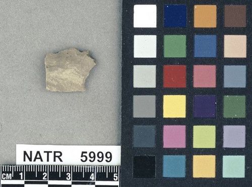 NATR    5999 -- Untyped projectile point