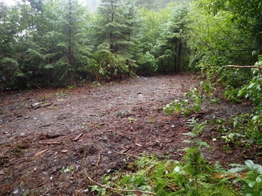 Kenai Fjords National Park - WG -new bunkhouse area after removal-1.jpg