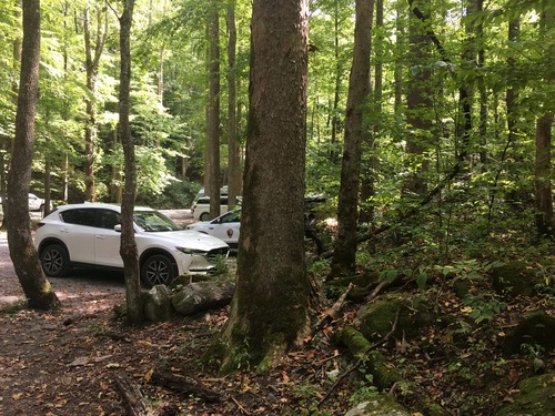 GRSM Accuracy Assessment. Plot Code: GRSM_AA_0811_6