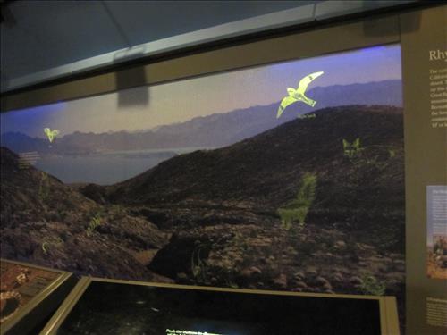 Lake Mead NRA Alan Bible Visitor Center Exhibits 1 of 2