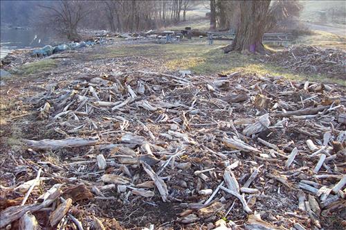 FOWA-Beach Front Debris at Fort Washington Park, March 1, 2007